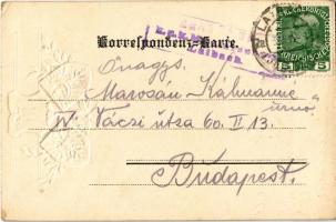 1915 Ljubljana, Laibach; Spitalgasse / street view, castel, coat of arms. J. Bonac. Emb. litho + &qu...