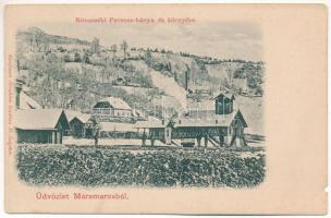 Rónaszék, Rohnen, Costiui (Máramaros); Ferenc bánya és környéke. Kaufmann Ábrahám kiadása / mine (b)