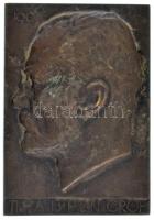 Beck Ötvös Fülöp (1873-1945) 1907. Tisza István gróf egyoldalas bronz plakett (75x54mm) T:XF,VF patina HP 866.