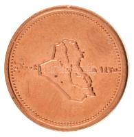 Irak 2004. 25D T:AU,XF ph, karc
Iraq 2004. 25 Dinars C:AU,XF edge error, scratch
Krause KM#175