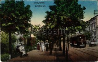 Nagyvárad, Oradea; Rákóczi út, villamos / Bul. Regele Ferdinand / street, tram (ázott / wet damage)