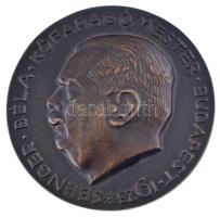 Reményi József (1887-1977) 1923. Seegner Béla kőfaragómester Budapest bronz emlékérem (74mm) T:AU HP 4282.