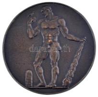 Reményi József (1887-1977) 1923. "Seegner Béla kőfaragómester Budapest" bronz emlékérem (7...