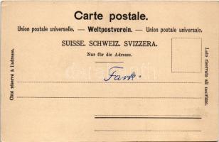 Morges, Le Port / port, Hotel du Mont-Blanc