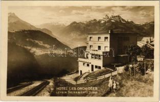 Leysin, Hotel les Orchidées