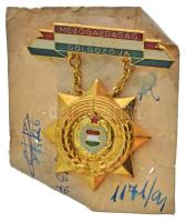 ~1970-1980. "Mezőgazdaság Kiváló Dolgozója" aranyozott, műgyantás jelvény (60x50mm) T:AU