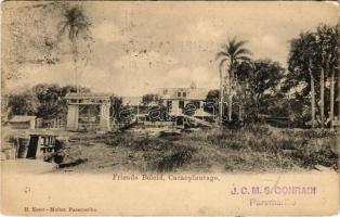 1902 Paramaribo, Friends Beleid Cacaoplantage / Cocoa plantation (EK)