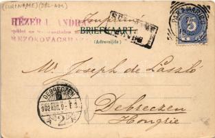 1902 Paramaribo, Friends Beleid Cacaoplantage / Cocoa plantation (EK)