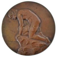 Reményi József (1887-1977) DN "Női portré" kétoldalas bronz emlékérem (68mm) T:AU