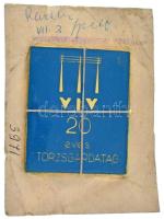 ~1970. "VIV (Villanyszerelőipari Vállalat) 20 éves törzsgárdatag" műgyantás fém emlékplakett tartólapra erősítve (60x50mm) T:XF patina