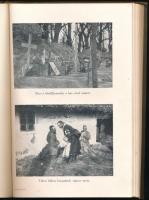 Veltzé Alajos: A Mi hőseink. Katonáink hőstettei a világháborúban. Woinovich Emil vezetése alatt sze...