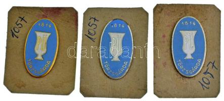 ~1960-1970. "Parádi Üveggyár törzsgárda jelvény" aranyozott, ezüstözött, zománcozott Cu jelvények (3db/2xklf) gyári kartonlapon, hátoldalukon "Parádi Üveggyár Munkaügyi Osztálya, Parádsasvár" bélyegzéssel (34x18mm) T:AU,XF az egyiken kopott ezüstözés