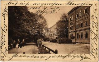 1900 Cieszyn, Teschen; Erzh. Albrechtsallee / street view (EB)