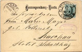 1900 Cieszyn, Teschen; Erzh. Albrechtsallee / street view (EB)