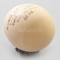 1994 Kuris Lajos tojáspatkoló világbajnok Guiness emlék tojása, az egy tojáson található legtöbb pat...