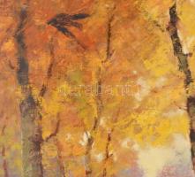 Sashegyi Kálmán, Vodicai (1886-1940): Vadász puskával. Olaj, vászon, jelzett. Javított. Fakeretben, ...