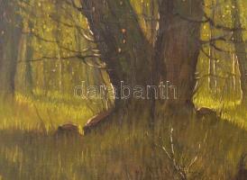I Mesterházy D jelzéssel: Erdőrészlet. Olaj, vászon, dekoratív fakeretben, 59,5×80,5 cm