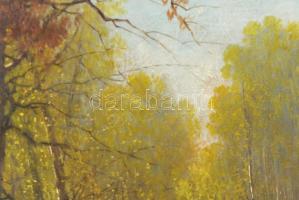 I Mesterházy D jelzéssel: Erdőrészlet. Olaj, vászon, dekoratív fakeretben, 59,5×80,5 cm