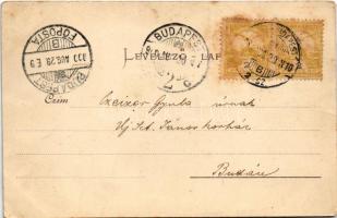 1900 Verőce, Nógrádverőce; vasútállomás (vágányok felől földszintesnek látszik mert a vasút itt végi...