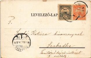 1901 Apatin, Polgári iskola, Gasz Mátyás üzlete és saját kiadása / school, publisher's shop (EK...