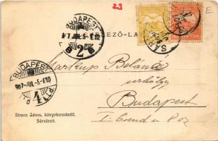 1907 Sárvár, vár este. Stranz János kiadása, Art Nouveau floral (ázott sarok / wet corner)