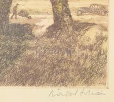 Zádor István (1882-1963): Szajoli országút. Rézkarc, papír, jelzett, üvegezett fakeretben, 23×30 cm