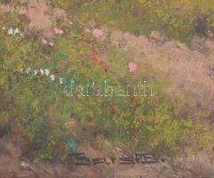 Barsi B jelzéssel: Hazafelé. Olaj, vászon, fakeretben, 40×50 cm