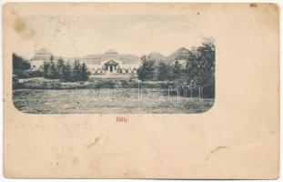 Bély, Biel; Báró Sennyei Béla kastélya. Löwy A. kiadása / castle / szakadás / tear)