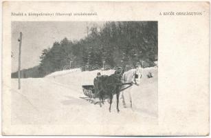 1915 Kistapolcsány, Topolcianky; részlet a kistapolcsányi főhercegi uradalomból. A kicői országúton, lovasszán / archduke&#039;s estate, on the road to Skycov, horse sled (EB)