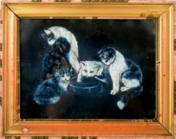 Jelzés nélkül: Cicák. Olaj, vászon. Dekoratív, sérült, üvegezett fakeretben, 29x38 cm