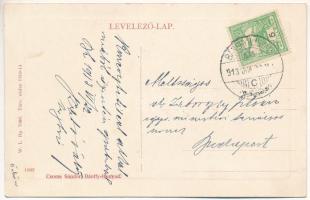 1913 Bánffyhunyad, Huedin; Községháza, Müller Sándor asztalos, Diamantstein Nándor könyvnyomdája. W....