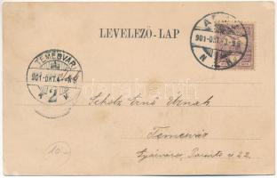 1901 Arad, Megyei közkórház, kórház. Ingusz I. és fia kiadása / hospital (EB)