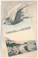 1908 Orsova, Ich bringe Grüsse aus dem schönen Orsova / Montázs galambbal, Ozanic szálloda / Montage with dove, hotel