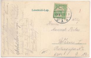 1908 Orsova, Ich bringe Grüsse aus dem schönen Orsova / Montázs galambbal, Ozanic szálloda / Montage...