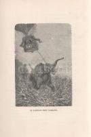 Verne, [Jules] Gyula:

Öt hét léghajón. Utazás Afrikában. Harmadik, egyedül jogosított képes kiadá...