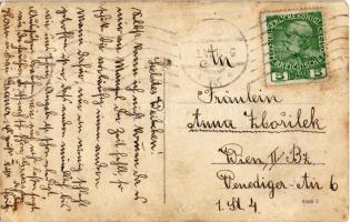 1913 Osztrák-magyar katonai postás (?) / Austro-Hungarian K.u.k. military postman (?), photo (lyuk /...