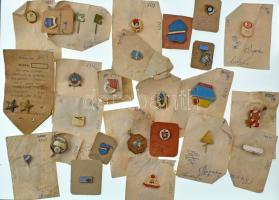 ~290db-os, nagyrészt szocialista jelvény, kitüntetés, kitűző tétel, főleg különböző törzsgárda jelvények, a legtöbb lapra erősítve, közte ~1972. "MGYE (Magyarországi Gyógyszerész Egyesület)" 5 év utáni műgyantás törzsgárda jelvénye (23x15mm). Poros, feldolgozásra váró gyűjtemény, ajánlott a személyes megtekintés! T:vegyes