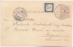 1898 (Vorläufer) Nagyszentmiklós, Sannicolau Mare; Náko utca, Sörfőzde, sörgyár, városháza, Czenzing...