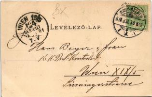 1901 Kisdisznód, Michelsberg, Cisnadioara; vár. Verl. d. Buchh. G. A. Seraphin. Lichtdruck v. Jos. D...