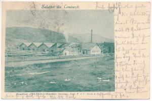 1904 Comanesti, Kománfalva (Moldva, Bacau); Ferestreul Sylvia a Societatei Anonime, fosta P. & C. Goetz & Co. / sawmill (Rb)