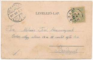 1902 Arad, Újarad, Új-Arad, Aradul Nou; Zárda, Városháza, Római katolikus templom. Mayr Lajos kiadás...