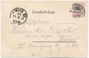 1899 (Vorläufer) Arad, Fehér kereszt szálloda, étterem, belső. Honisch udvari fényképész felvételei ...