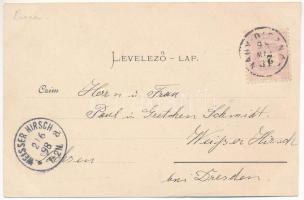 1898 (Vorläufer) Nagyszeben, Hermannstadt, Sibiu; Cigány, erdélyi szász és román pár népviseletben. ...