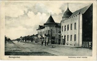 1916 Beregszász, Beregovo, Berehove; Andrássy utca. Friedmann Móritz kiadása / street (EK)
