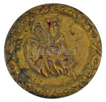 Maugsch Gyula (1882-1945) 1927-1928. "Az érdem jeléül - Házinyúl Tenyésztők Orsz. Egyesülete" aranyozott bronz emlékérem (50mm) T:AU patina, kopott aranyozás