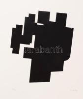 Hetey Katalin (1924-2010): Geometria. Szitanyomat, papír. Jelzett. Számozott (27/40). Lapméret: 54x43 cm / Screenprint on paper, signed, numbered (27/40). Lapszéli apró beszakadással, kis töréssel