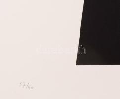 Hetey Katalin (1924-2010): Geometria. Szitanyomat, papír. Jelzett. Számozott (27/40). Lapméret: 54x4...