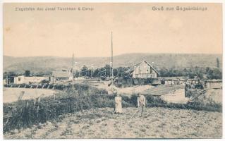 Boksánbánya, Románbogsán, Németbogsán, Deutsch-Bogsan, Bocsa Montana; Ziegelofen des Josef Tuschkan & Comp. / téglagyár, kemence. Fotografie Carl Szabonáry / brickyard, brick kiln (fl)