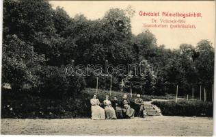 Boksánbánya, Románbogsán, Németbogsán, Deutsch-Bogsan, Bocsa Montana; Dr. Velicsek-féle szanatórium, park / sanatorium, park