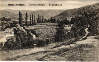 Boksánbánya, Románbogsán, Németbogsán, Deutsch-Bogsan, Bocsa Montana; látkép. Adolf Rosner kiadása / general view